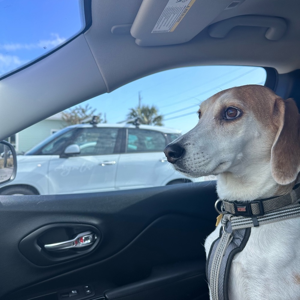 Meet your Posher, Nick